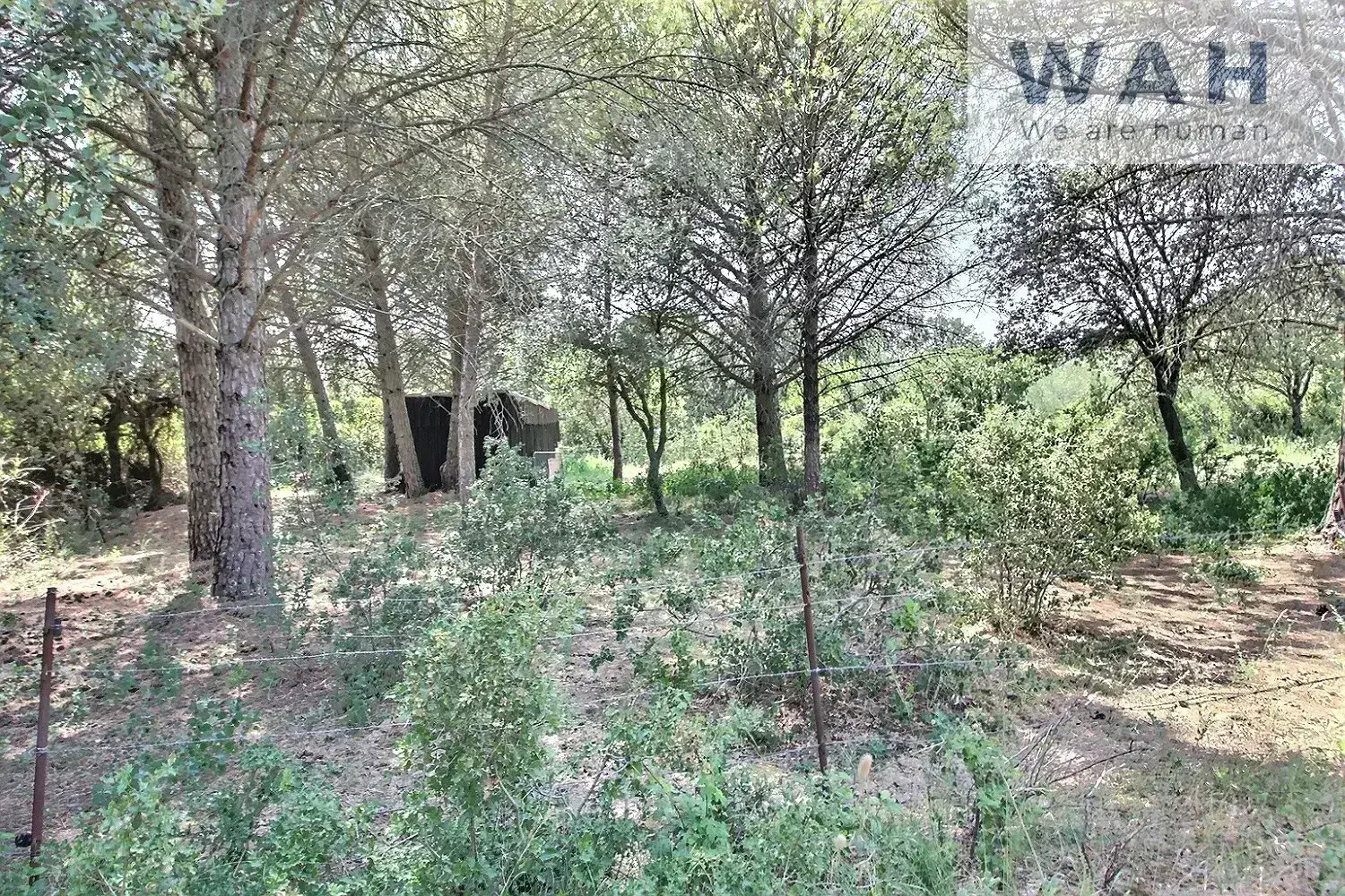 Vente de trois terrains de 2 330 m2 à Junas 30250 