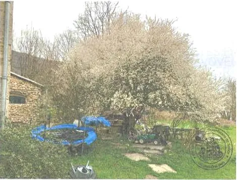 Maison F2 de 74m2 à Chavornay 