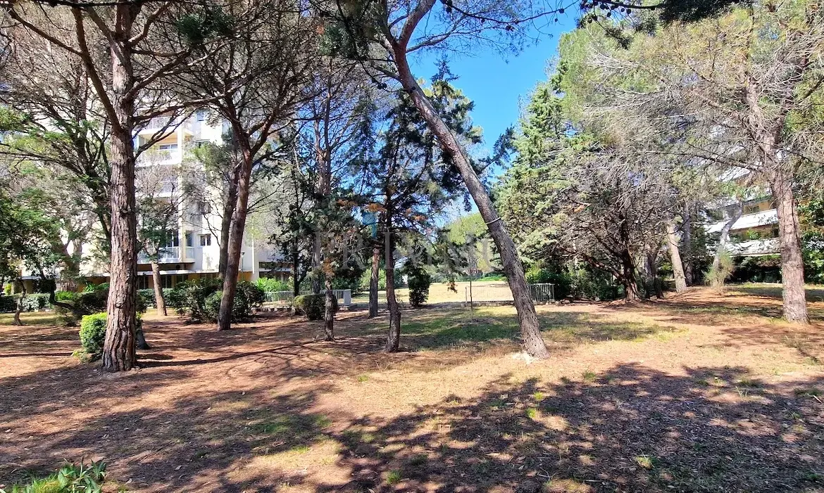 Appartement 3 Pièces à Saint-Raphaël avec Parc - Excellente Opportunité ! 