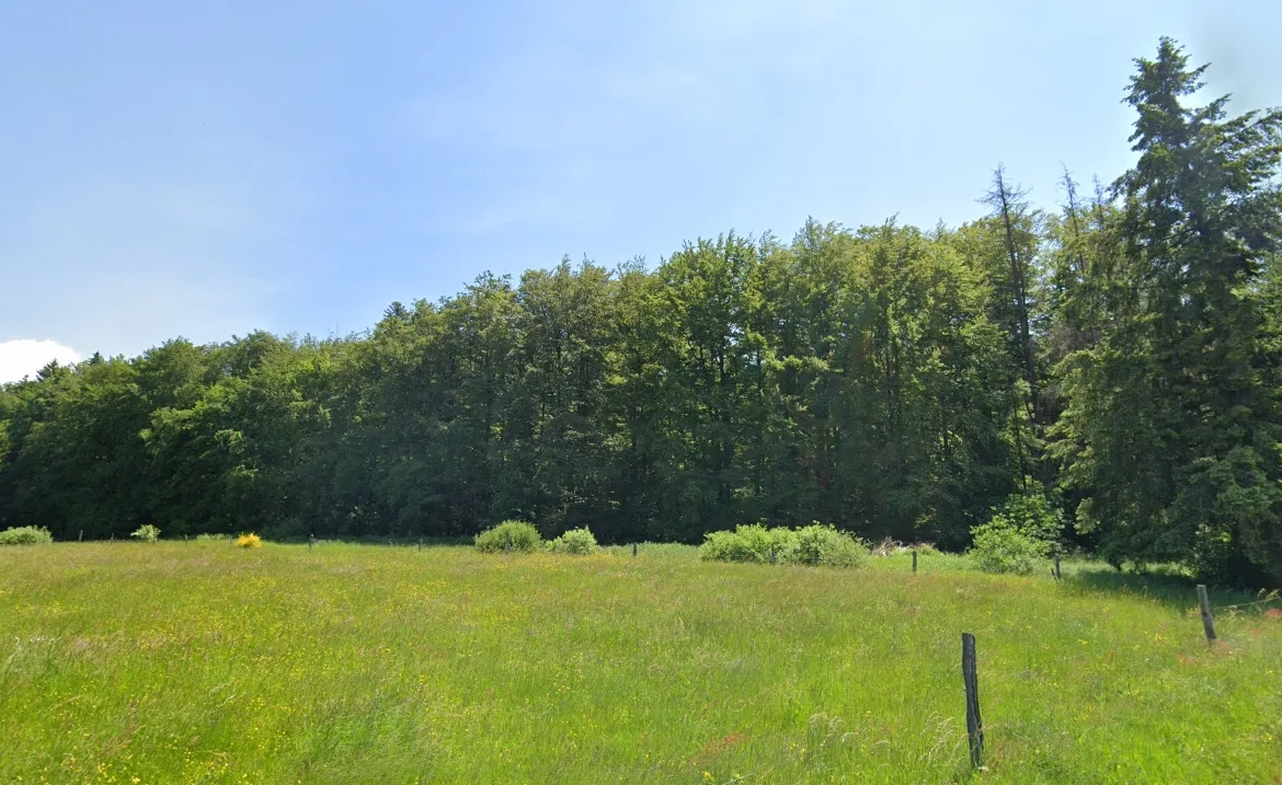 Maison T5 avec jardin à Xertigny 