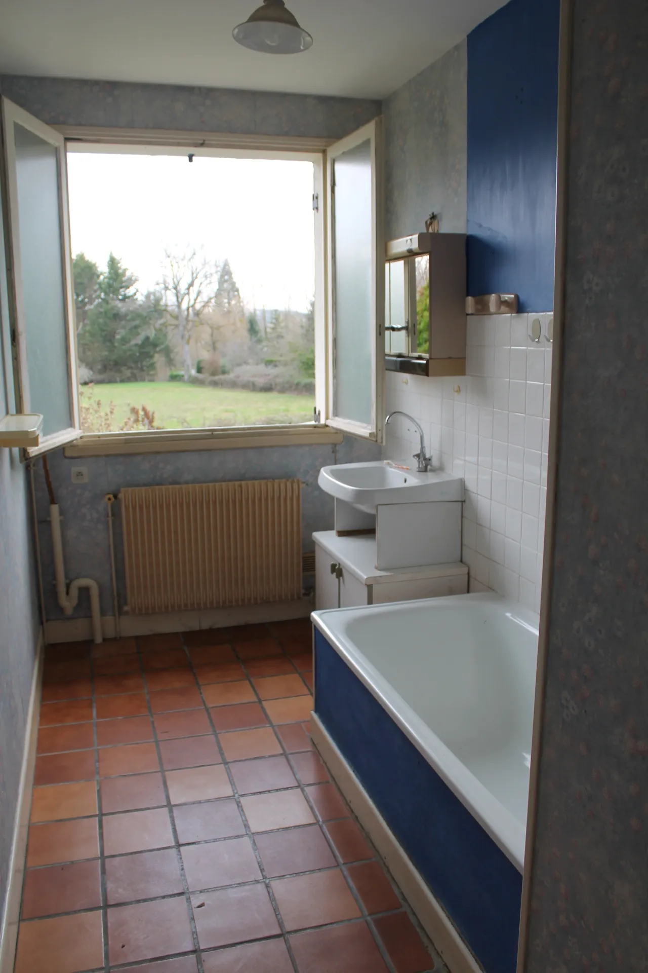 Maison sur sous-sol avec verger à Cerilly - 3300m2 