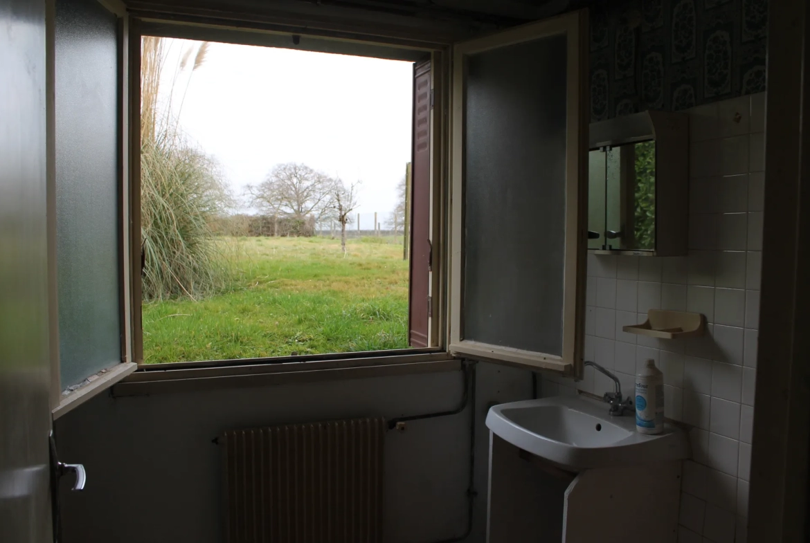 Maison sur sous-sol avec verger à Cerilly - 3300m2 