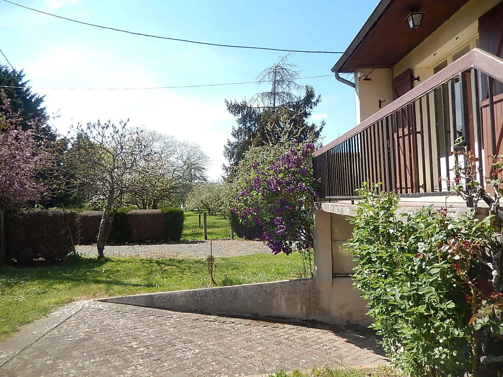 Maison sur sous-sol avec verger à Cerilly - 3300m2 