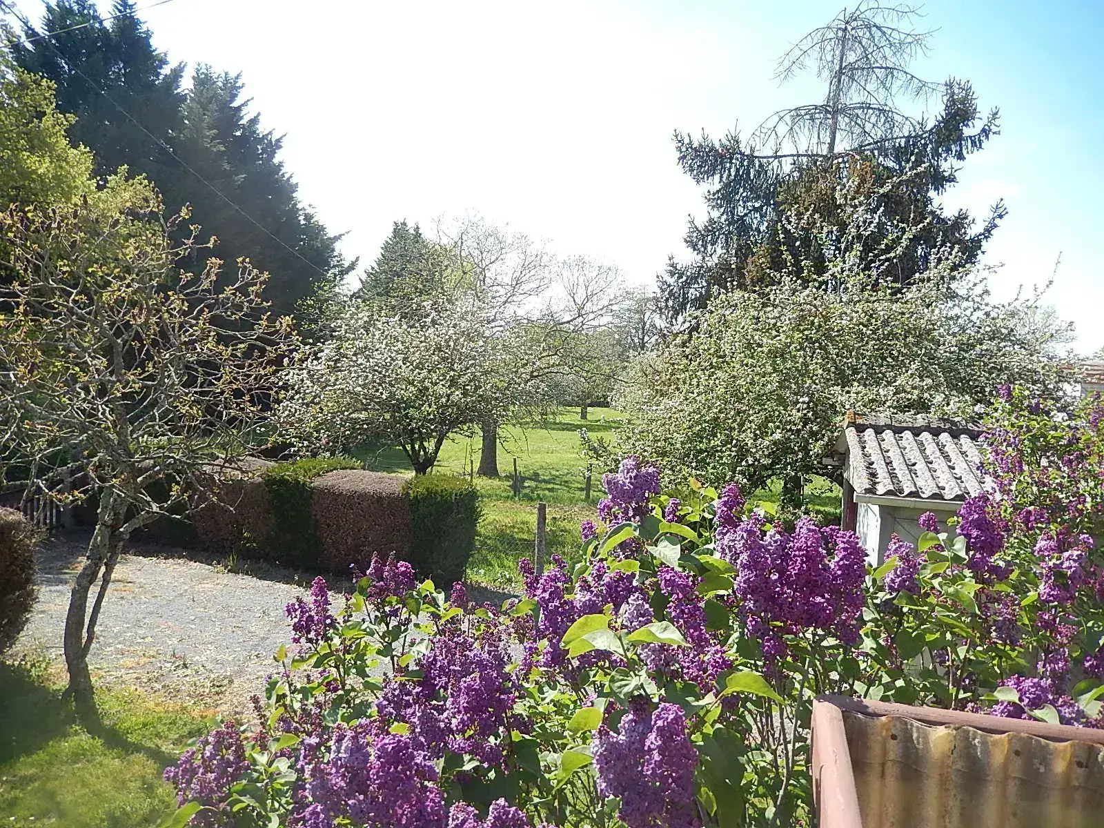 Maison sur sous-sol avec verger à Cerilly - 3300m2 