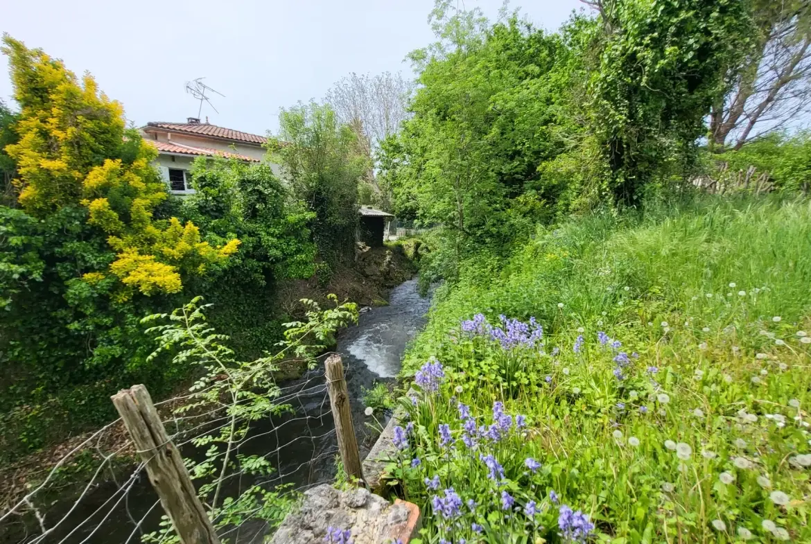 Maison de ville avec joli jardin de 394 m2 arboré et fleuri en bord de rivière à La Couronne, Angoulème 