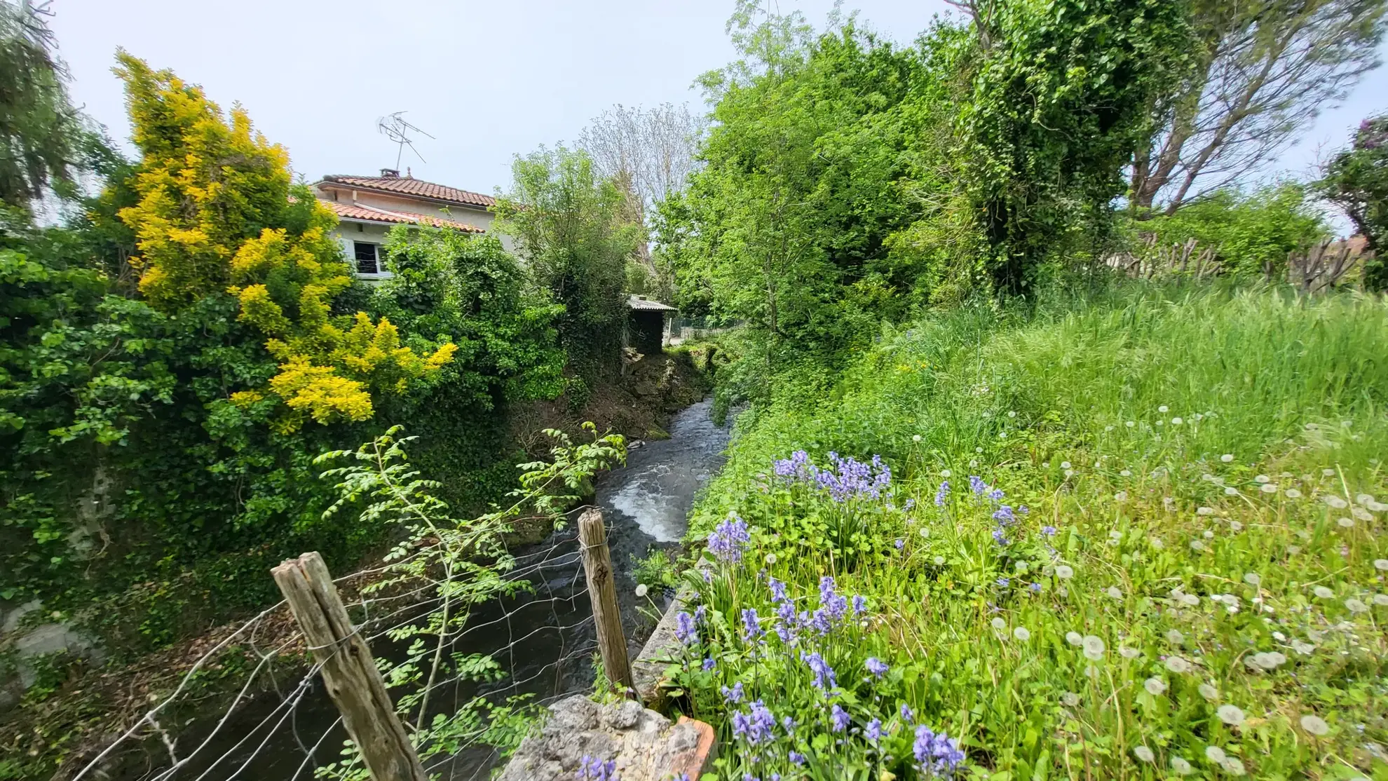 Maison de ville avec joli jardin de 394 m2 arboré et fleuri en bord de rivière à La Couronne, Angoulème 