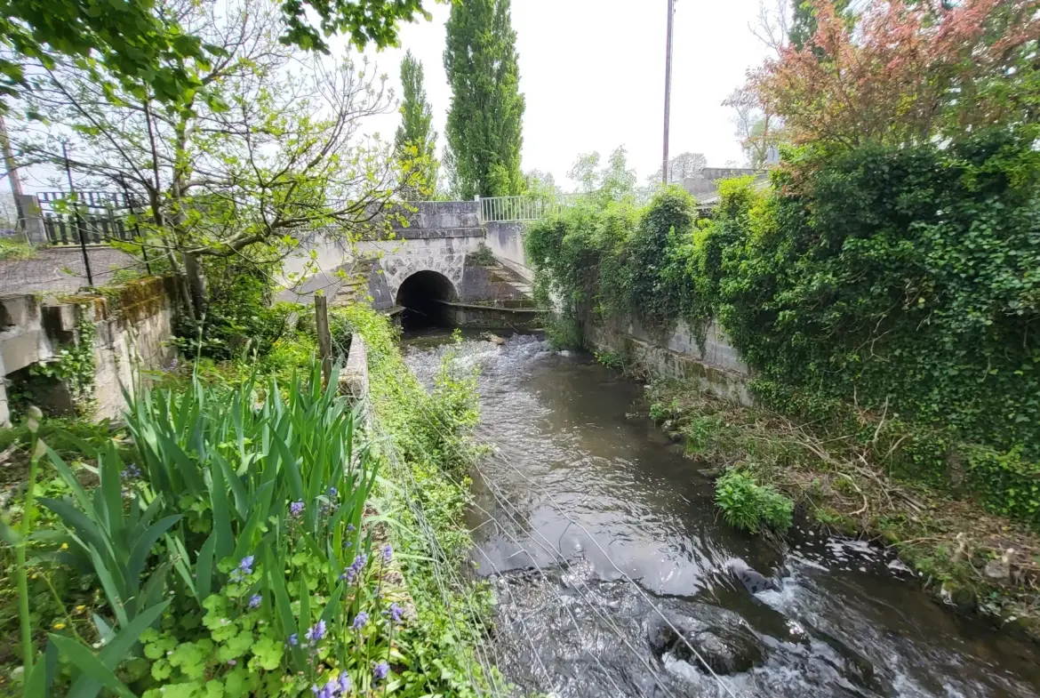 Maison de ville avec joli jardin de 394 m2 arboré et fleuri en bord de rivière à La Couronne, Angoulème 