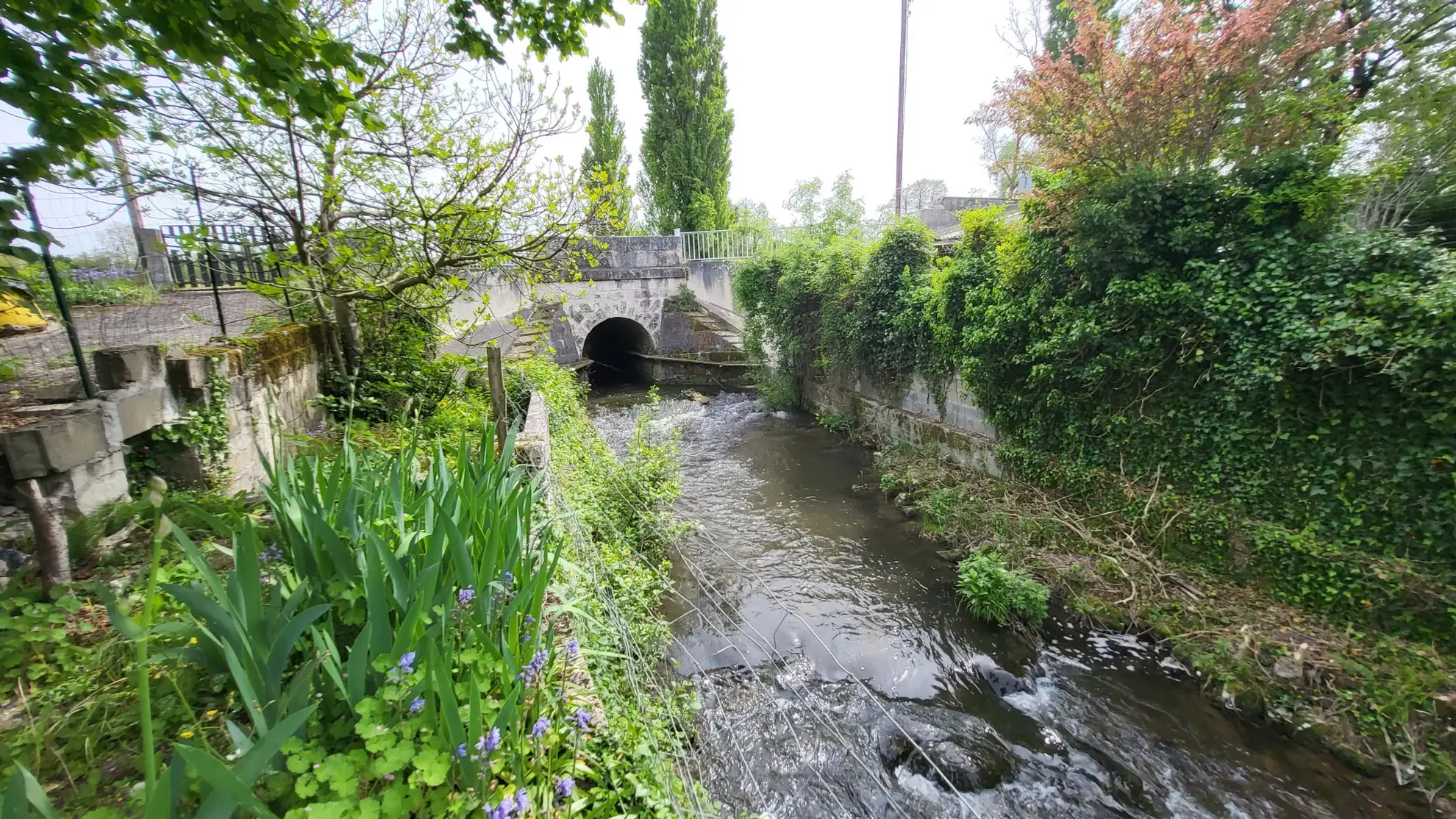 Maison de ville avec joli jardin de 394 m2 arboré et fleuri en bord de rivière à La Couronne, Angoulème 