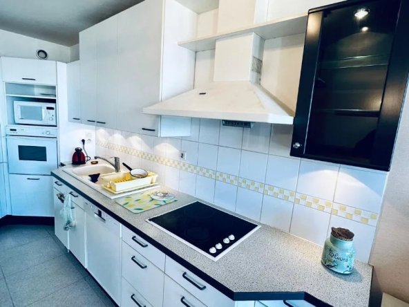 Appartement T4 100M2 Aux portes de Lille 