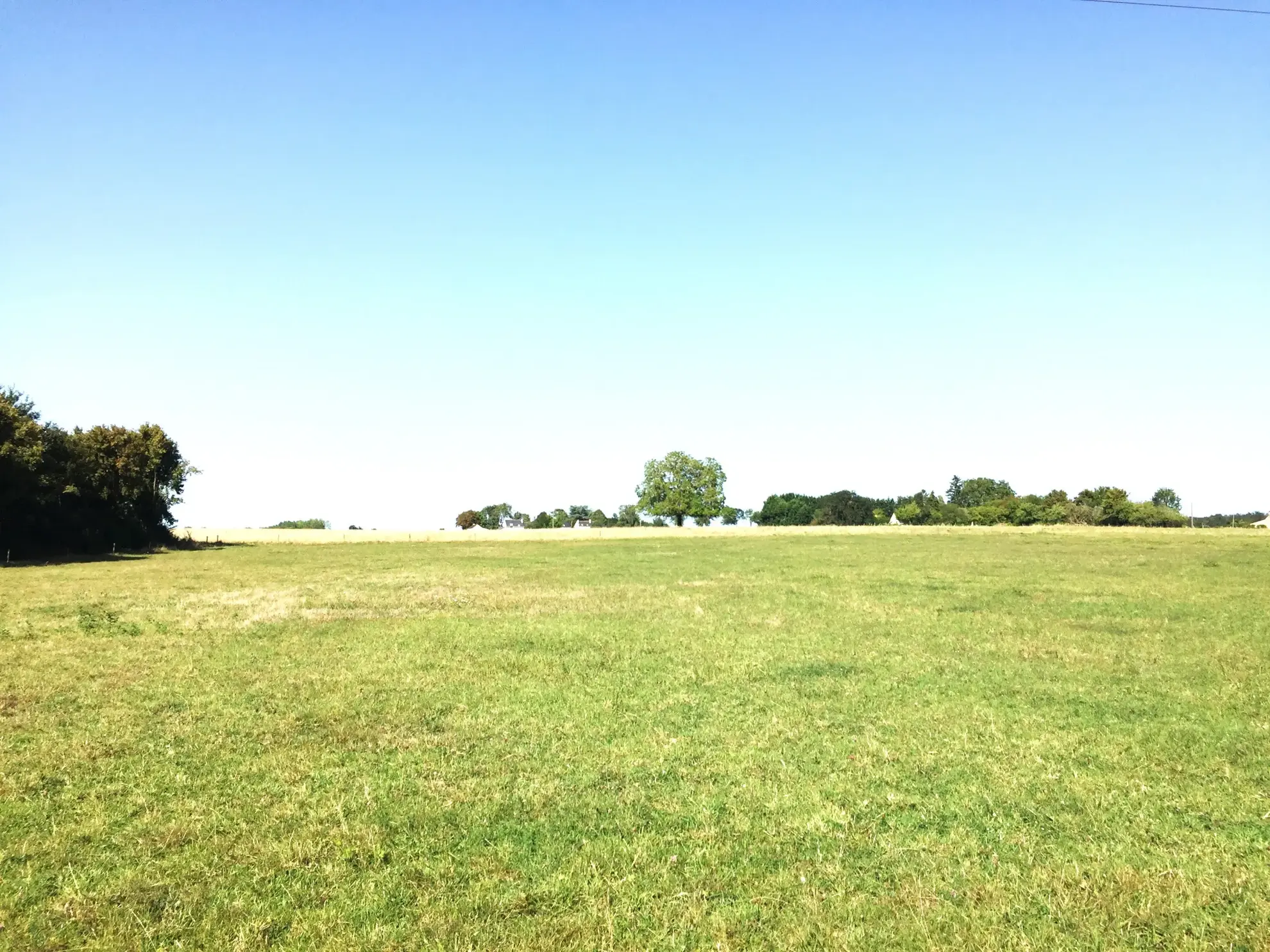 Maison Rénovée au Plessis-Grammoire avec Terrain 31988 m2 