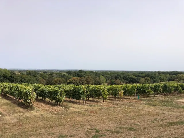 Fonds de commerce avec sa licence IV et/ou immeuble avec une vue imprenable depuis une belle terrasse 