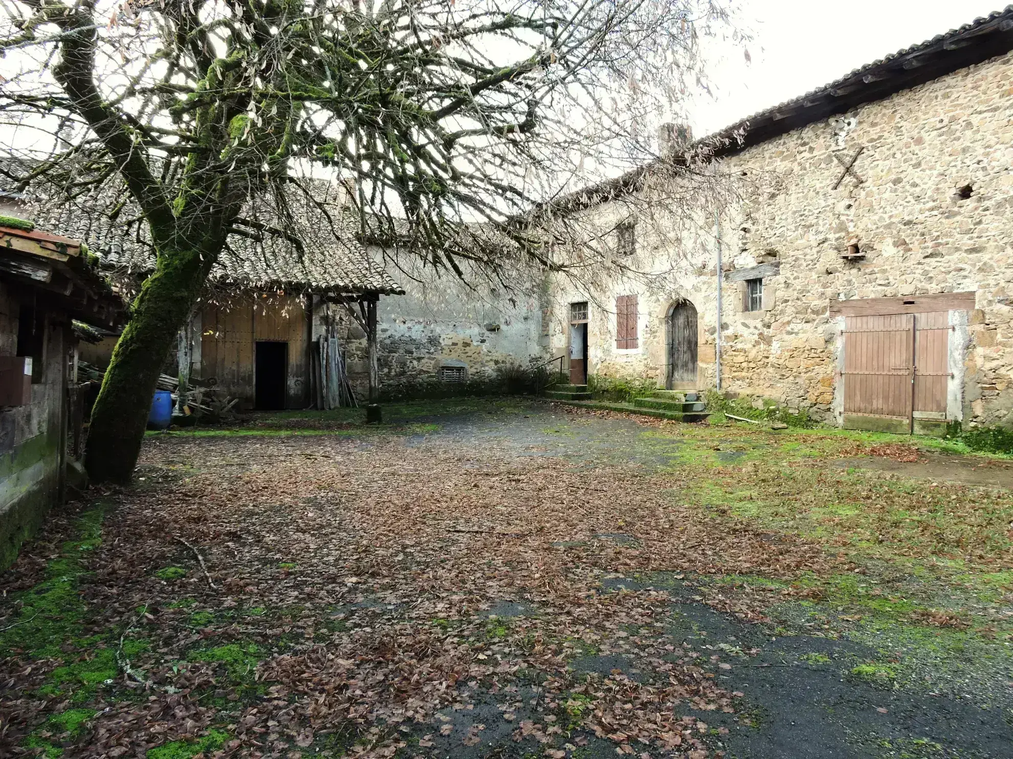 Corps de ferme avec plus d'un hectare à rénover à Ecuras 