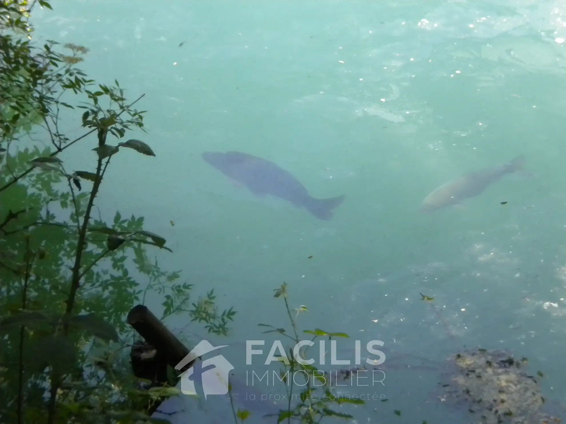 Etang de 10 ha à Sanvignes-Les-Mines 