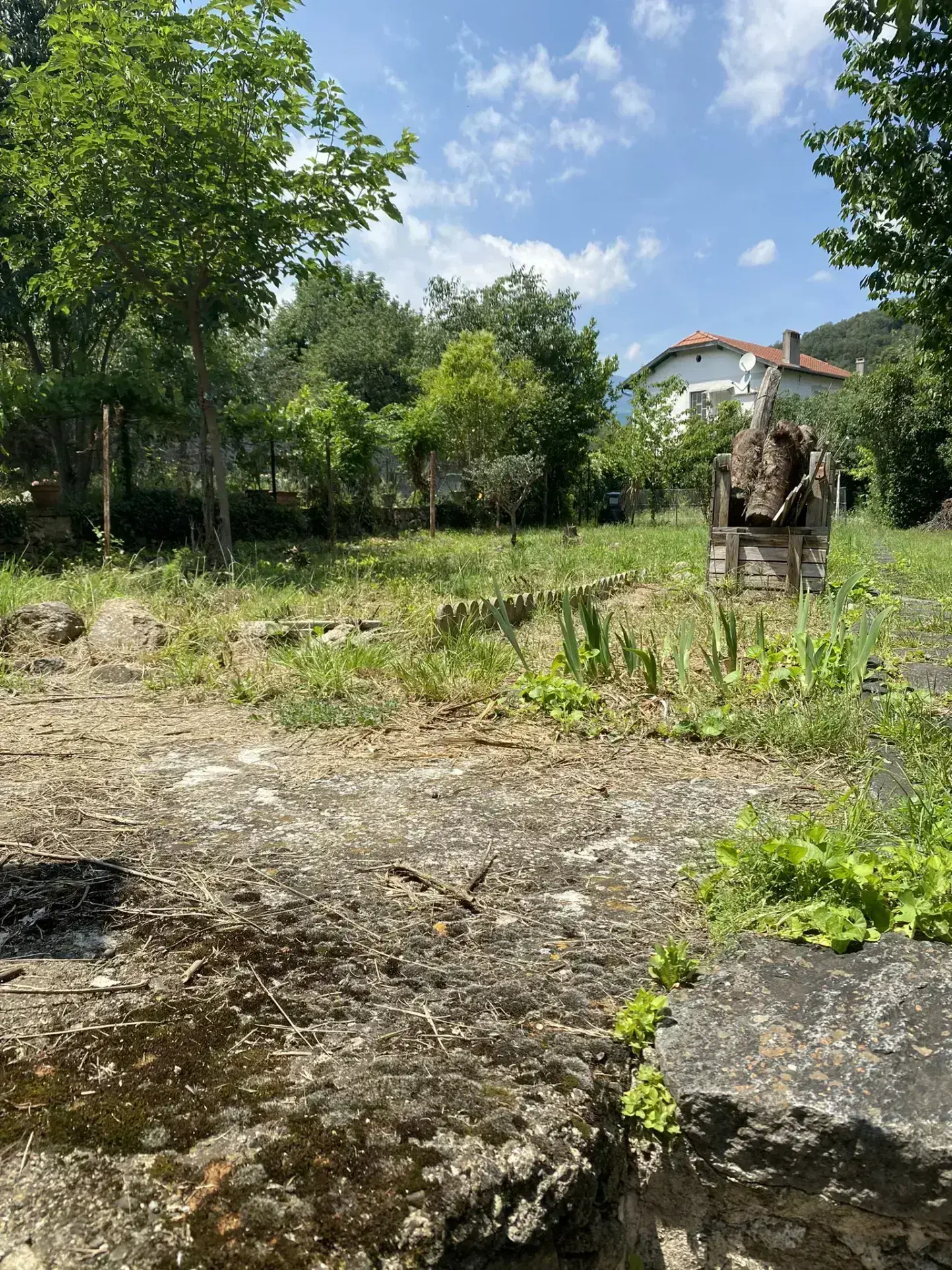 Appartement F1 à Arles-Sur-Tech avec jardin et casot 
