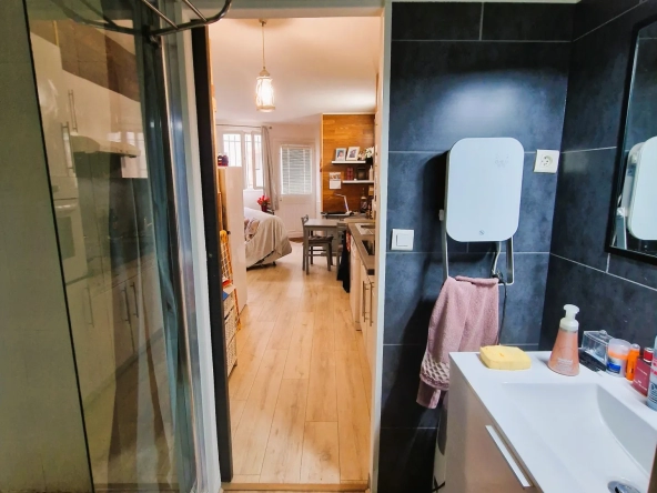 Appartement meublé à Ceret 