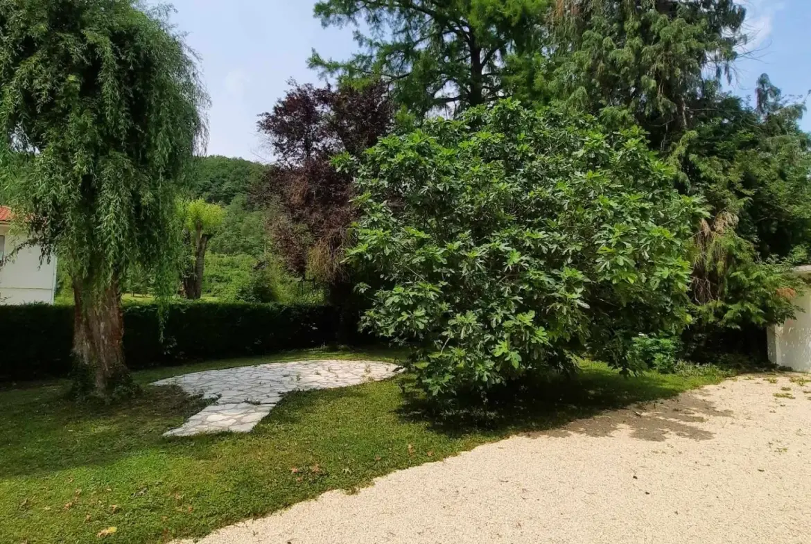 Maison à Sauveterre La Lémance - Belle maison avec grand parc ombragé 
