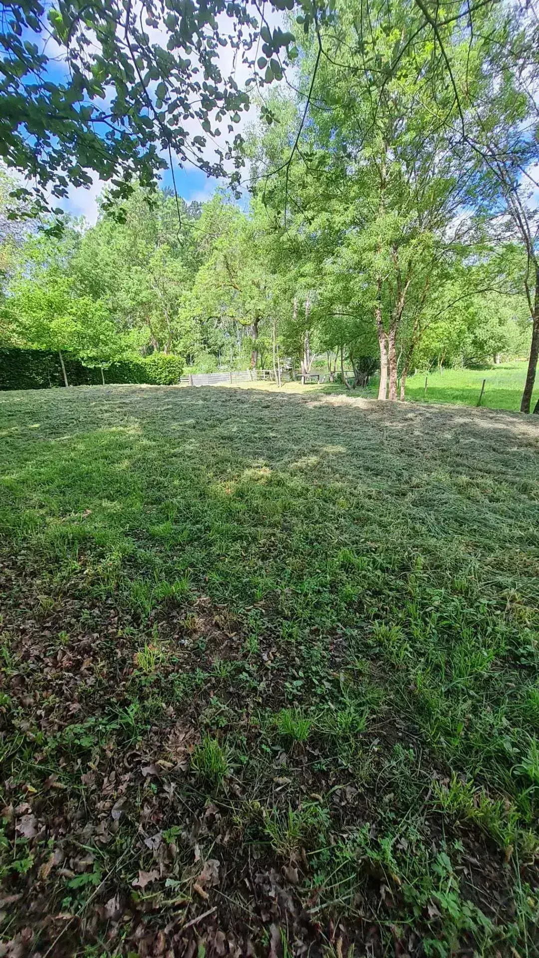 Agréable terrain de loisirs au bord du Lay 