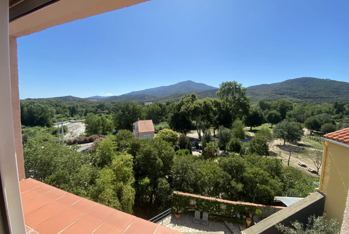 Appartement Charmant avec Vue sur les Montagnes au Boulou 
