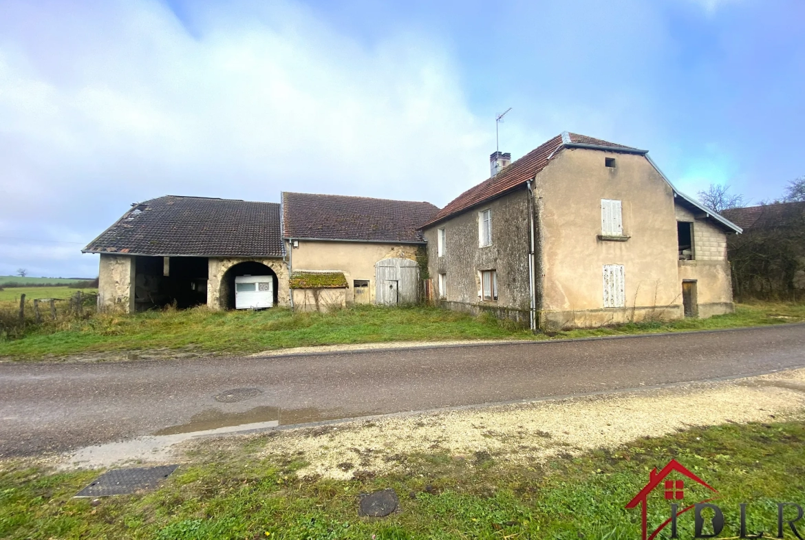 Ancienne maison d'habitation à rénover avec terrain de 1300 m2 - Gevigney et Mercey (70500) 