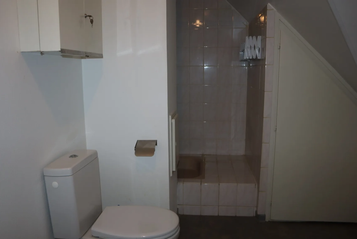 Appartement de type F1, dernier étage à Altkirch (68130) 