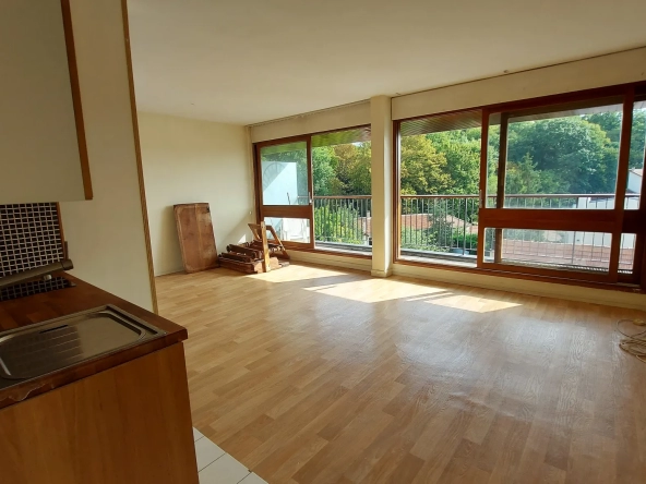 Grand studio double ou 2 pièces avec balcon filant et vue dégagée sur la forêt 