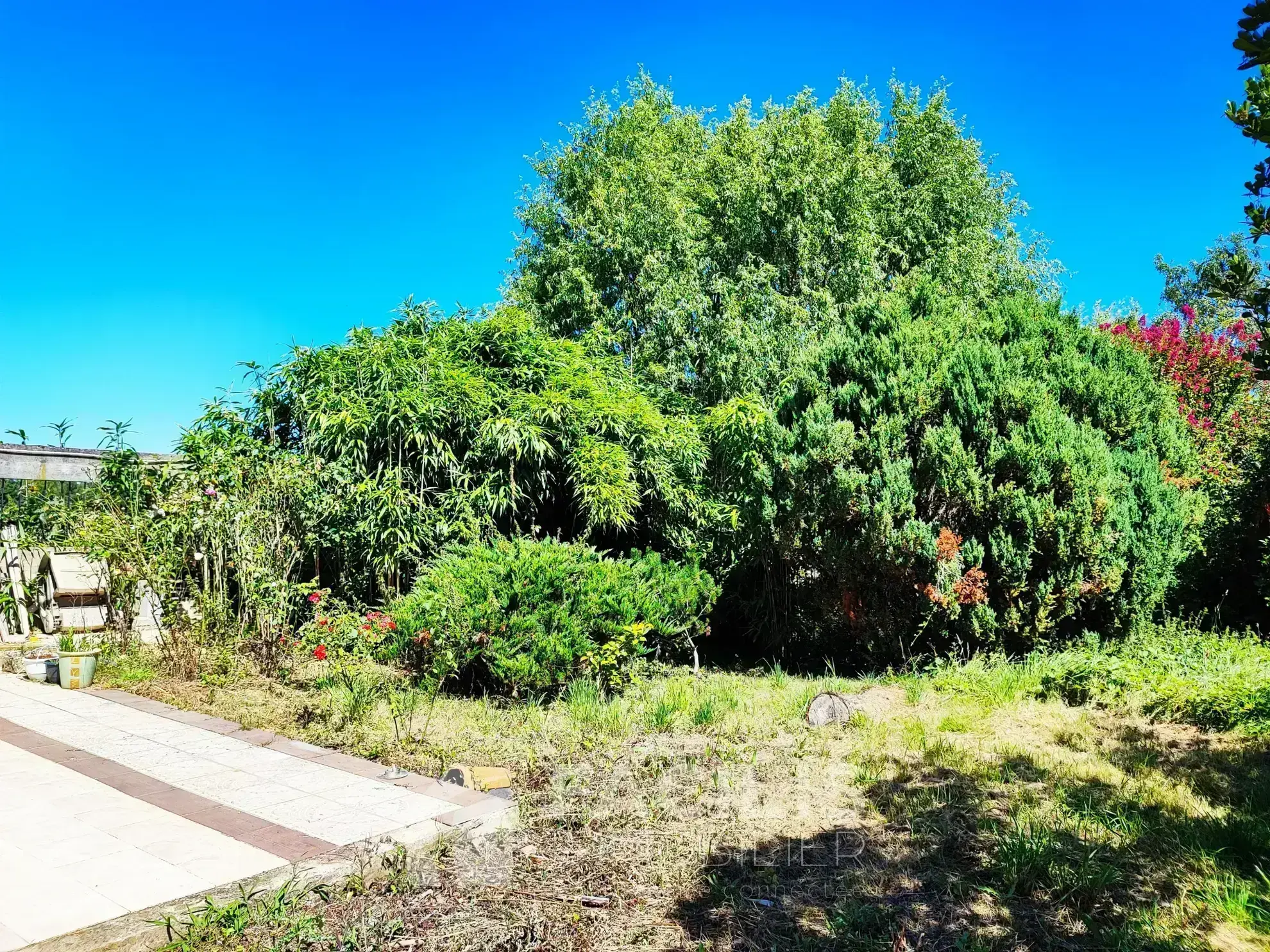 Magnifique maison de campagne à finir de rénover 