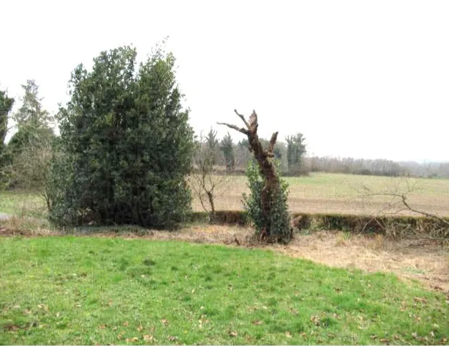 Terrain avec des droits à bâtir à Saint-Thuriau 