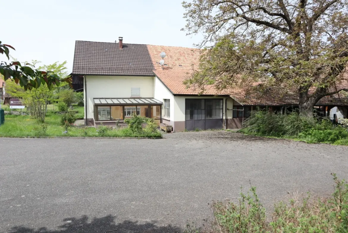 Maison avec dépendances à Altenach 