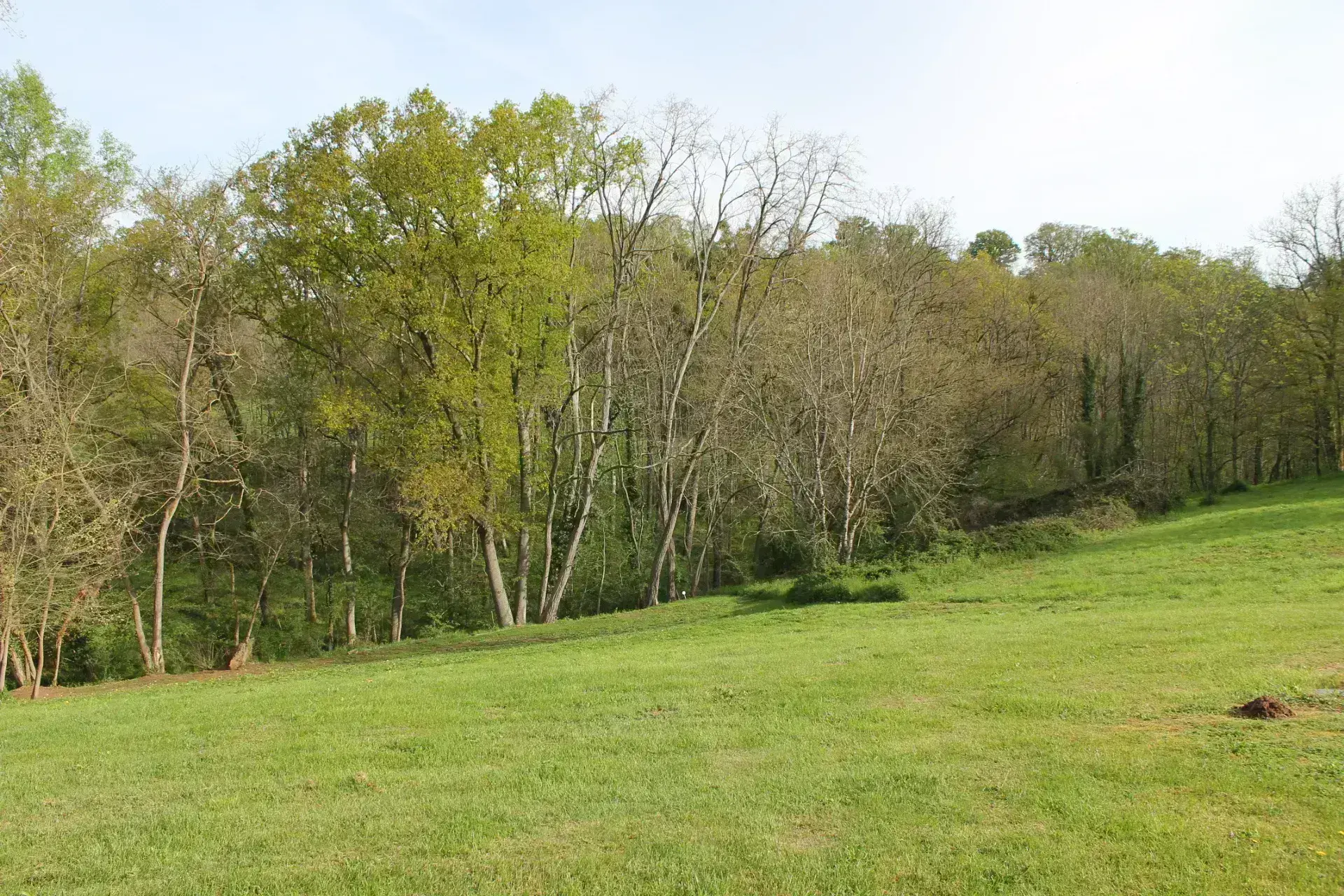 Urçay - Maison récemment rénovée sur 4000 m2 de terrain au bord d'un petit ruisseau. 