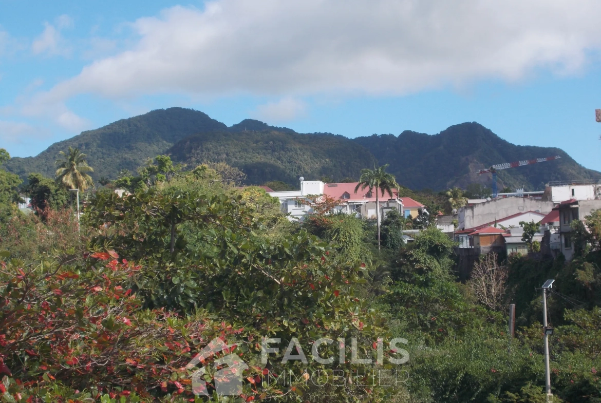 Appartement de type F4 proche de toutes commodités à Basse-Terre 