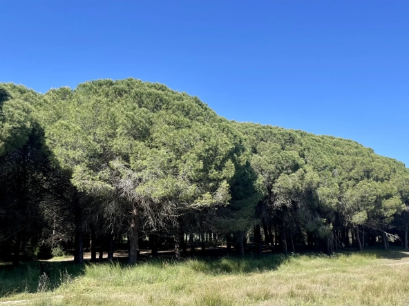 EXCLUSIVITE - LA GRANDE MOTTE- STUDIO double cabines 
