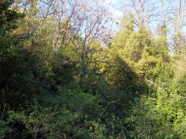 Terrain non constructible à Magagnosc - Superficie de 2200m² 
