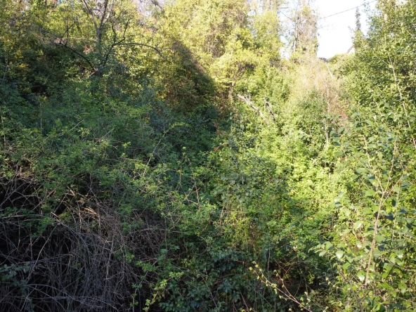 Terrain non constructible à Magagnosc - Superficie de 2200m² 