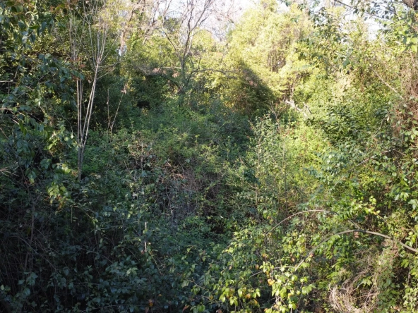 Terrain non constructible à Magagnosc - Superficie de 2200m² 