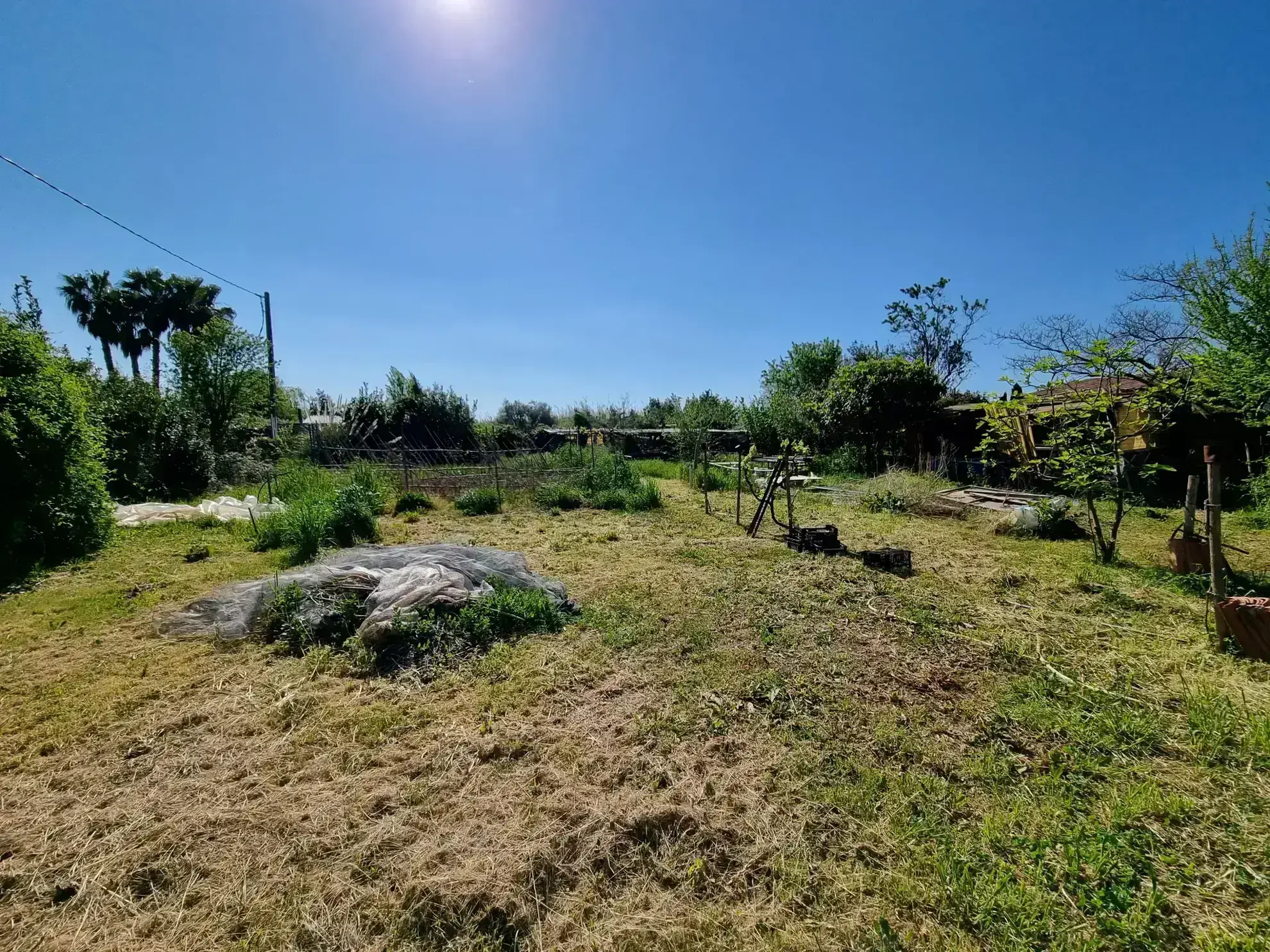 Terrain de Loisirs 1000 m2 avec Maisonnette à HYERES 