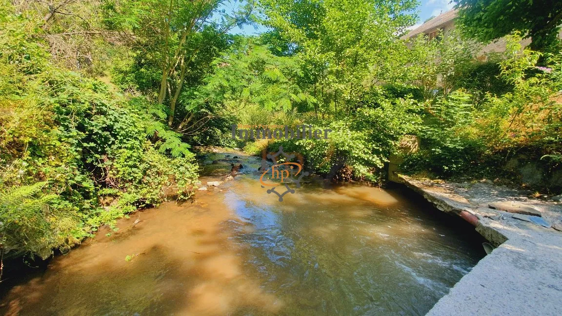 Vente Gîtes Brousse le Château - 235 600 € 
