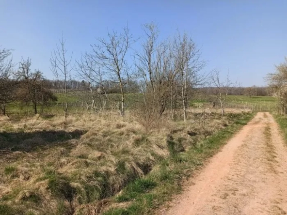 Terrains à construire à Wuenheim - Lotissement calme en pleine nature