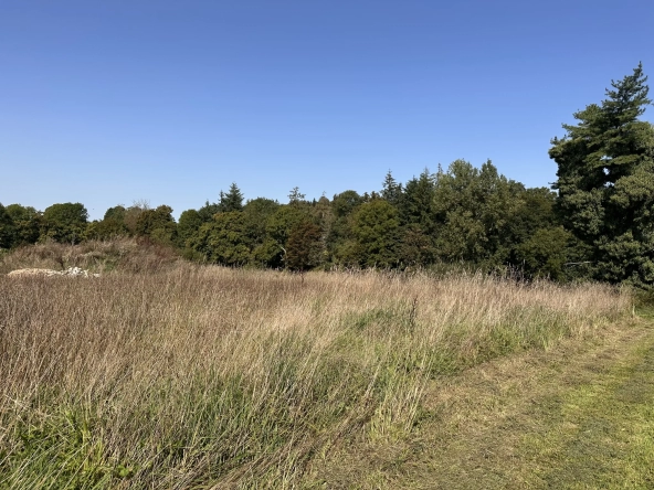 Terrain à bâtir Le Tourneur commune de Souleuvre en Bocage 