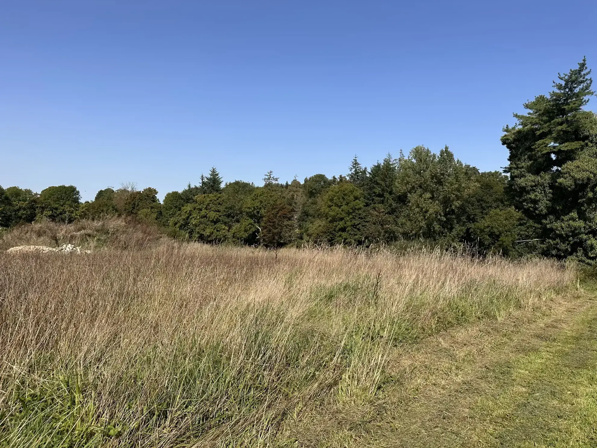 Terrain à bâtir Le Tourneur commune de Souleuvre en Bocage 
