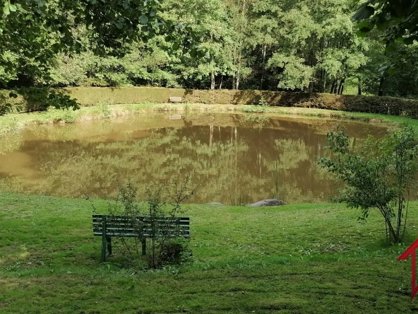 Etang de 710m2 à Epinal, Vosges 