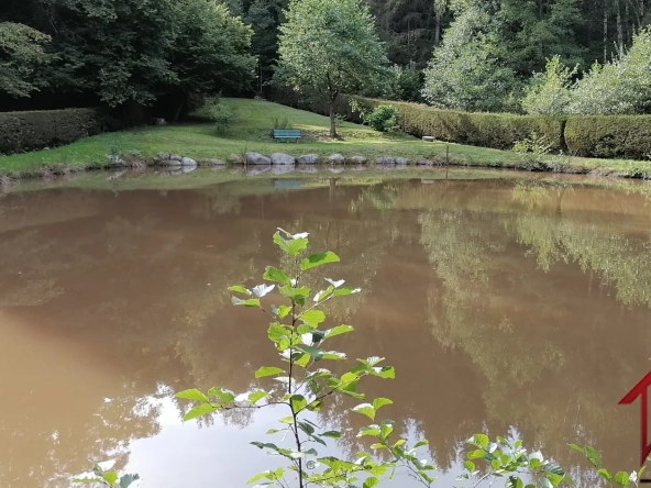Etang de 710m2 à Epinal, Vosges 