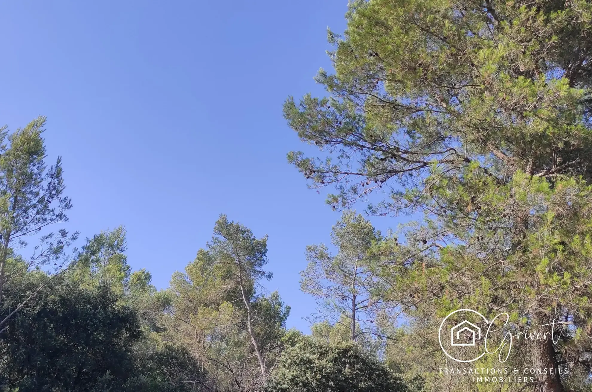 Terrain de loisirs en garrigue, gîte insolite à Milhaud 30540 
