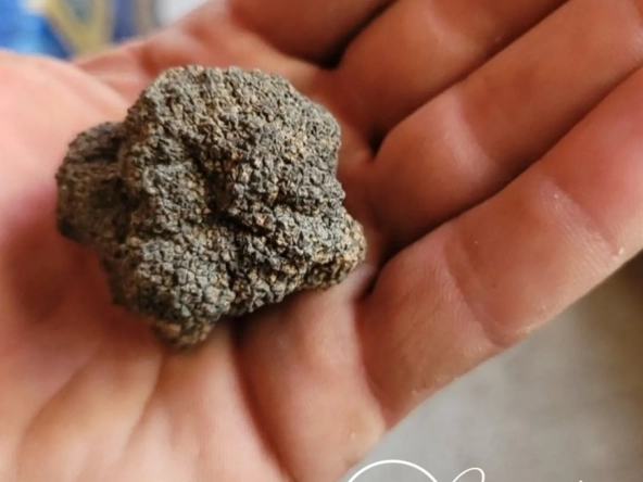 Terrain de loisirs en garrigue, gîte insolite à Milhaud 30540 