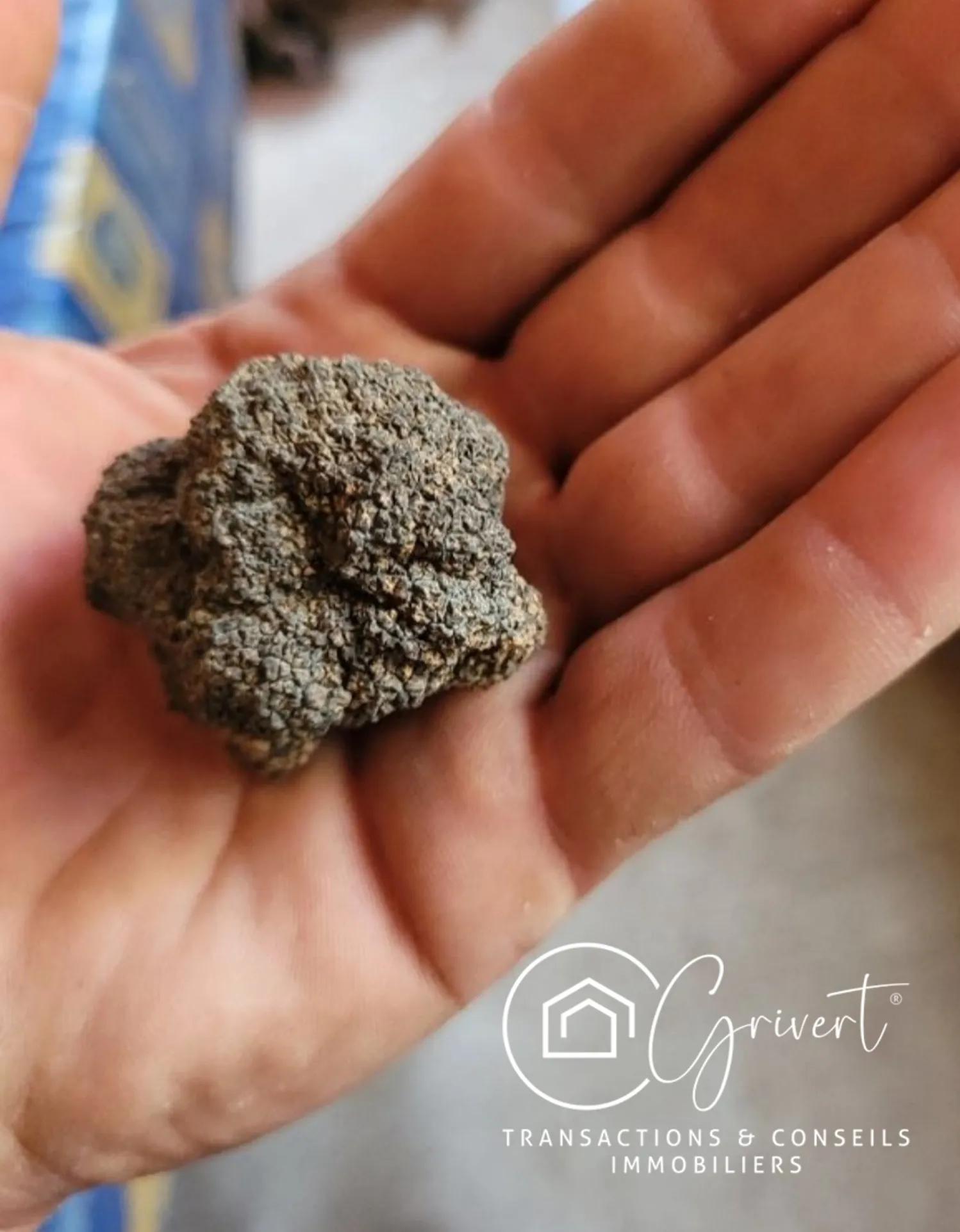 Terrain de loisirs en garrigue, gîte insolite à Milhaud 30540 