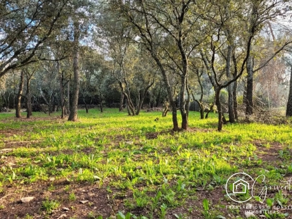 Terrain de loisirs en garrigue, gîte insolite à Milhaud 30540 
