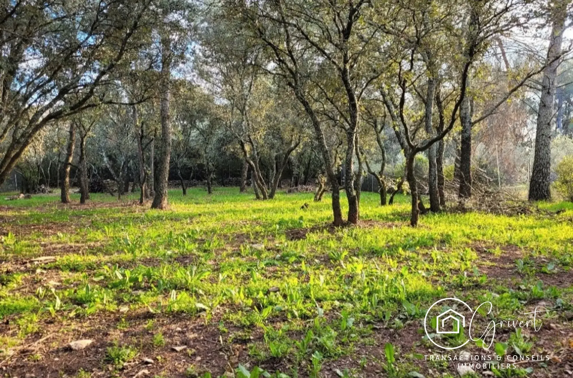 Terrain de loisirs en garrigue, gîte insolite à Milhaud 30540 