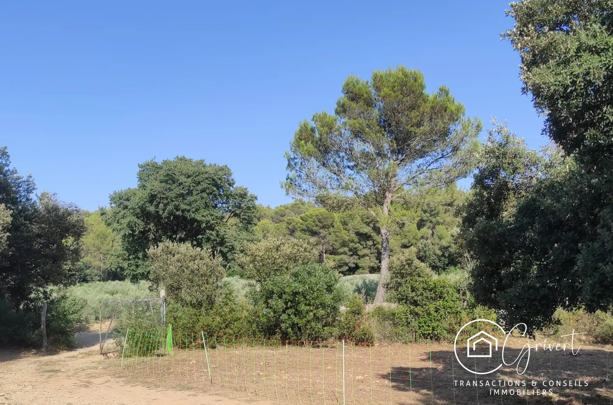 Terrain de loisirs en garrigue, gîte insolite à Milhaud 30540 