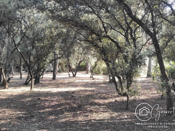 Terrain de loisirs en garrigue, gîte insolite à Milhaud 30540 