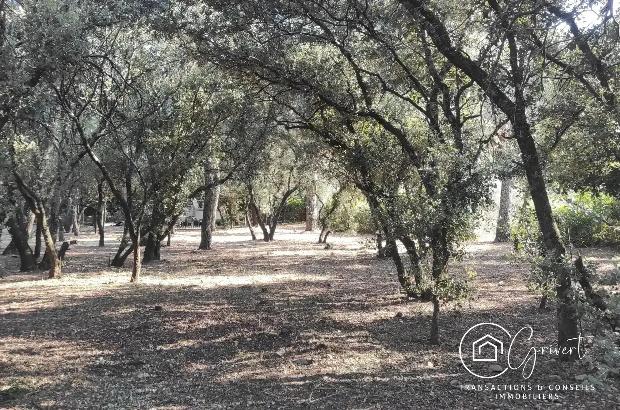 Terrain de loisirs en garrigue, gîte insolite à Milhaud 30540 