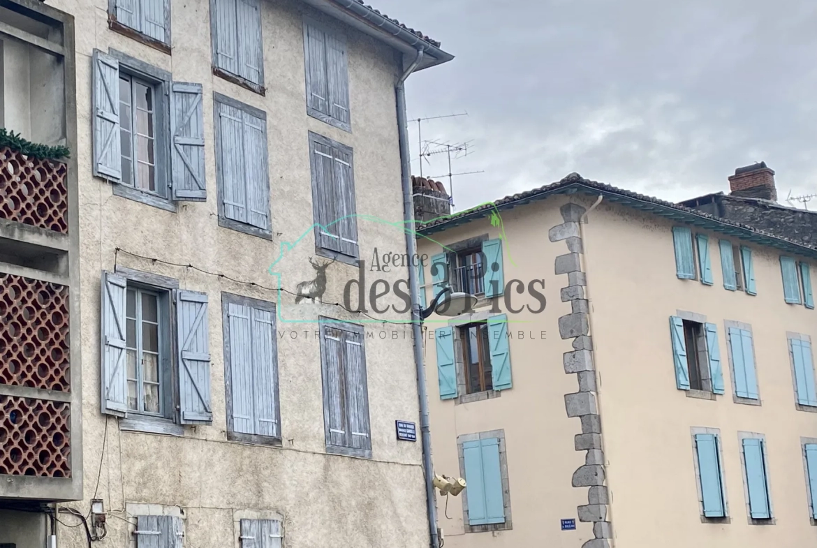Immeuble de rapport à St-Girons - Salat et montagne 